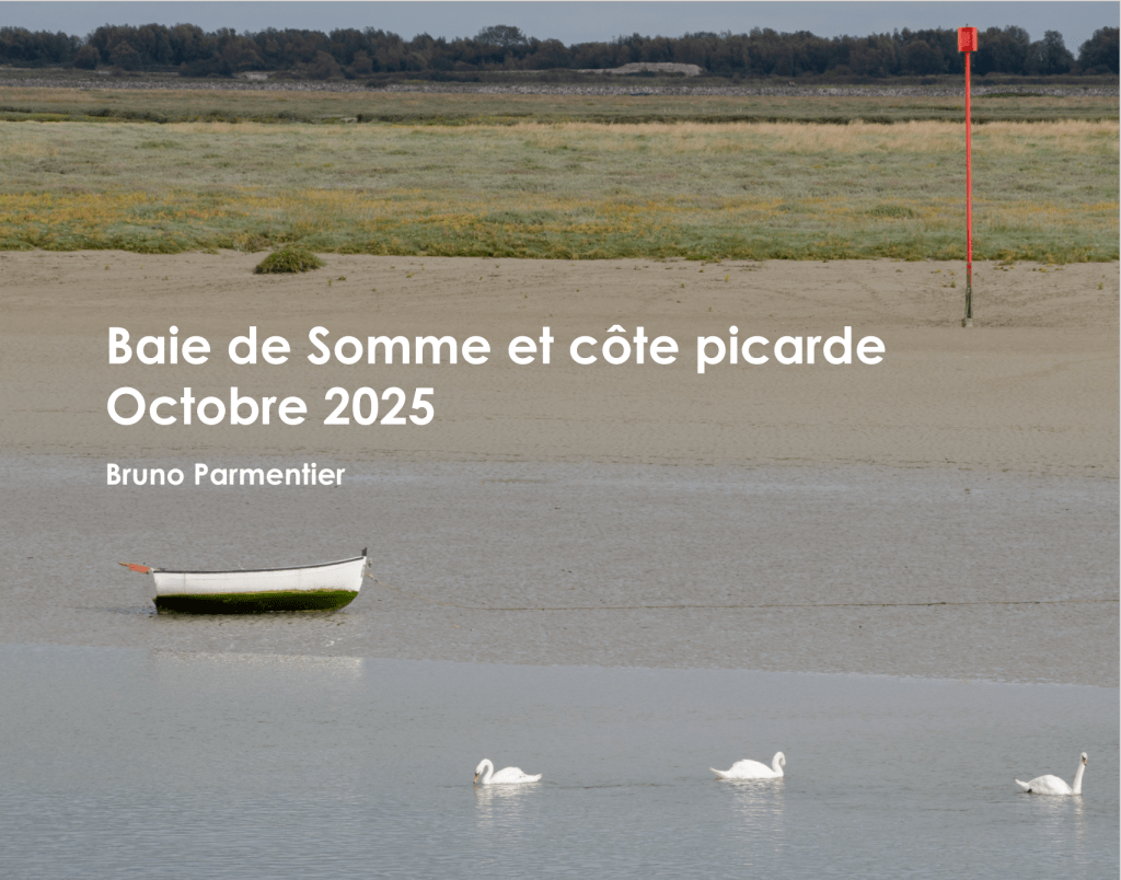 Baie de Somme : le livre-photos